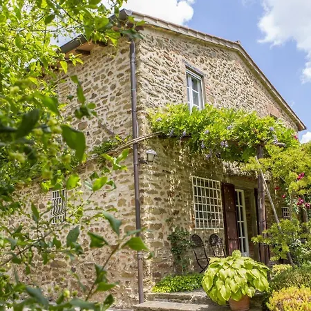 Glicine - Homelike * Città della Pieve